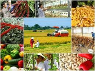 Hiệp định EVFTA bắt đầu có hiệu lực, sản phẩm nông nghiệp nào được hưởng lợi?
